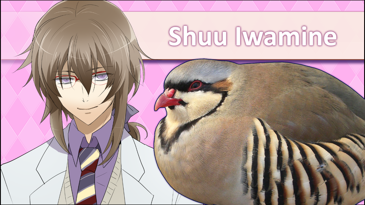 Image result for hatoful boyfriend characters shuu