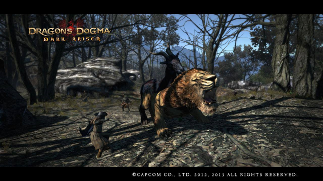 Datei:Wikia-Visualization-Add-3,dedragonsdogma.png