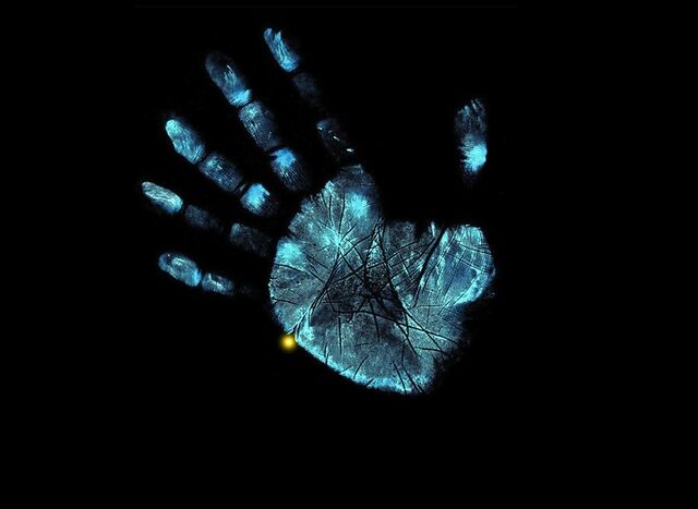 Datei:Hand.jpg