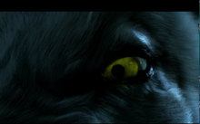 wikia peter grove hemlock wiki