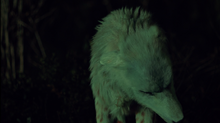 wikia hemlock grove peter
