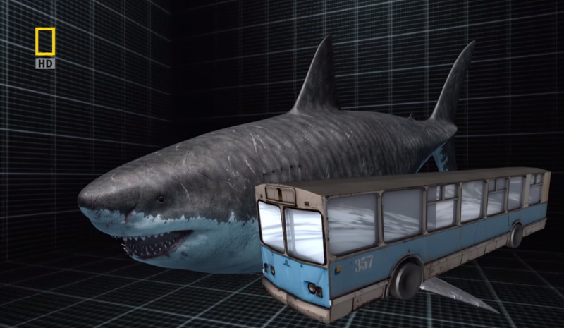 Megalodon | Heroes and Villains Fight Club Wiki | FANDOM powered by Wikia