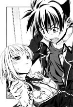 SMA DxD 203