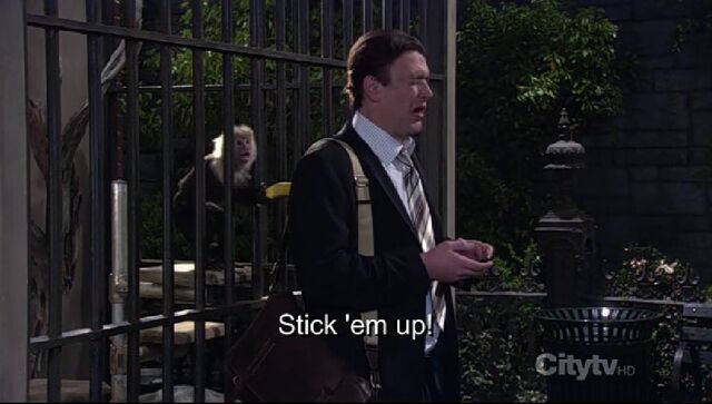 File:Zoo or False.jpg