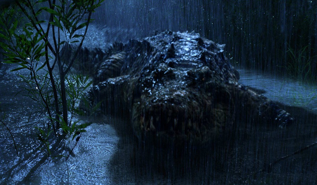 Bahamas Crocodile Encounters Tourists Terrifying Tale - lln3hcj