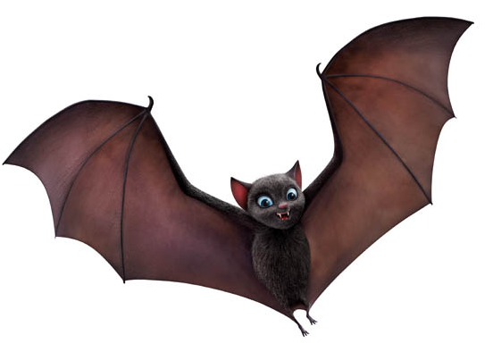 Casino bats