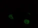 20151117 161923-1-