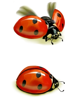 latest?cb=20120822002856