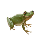 Frosch
