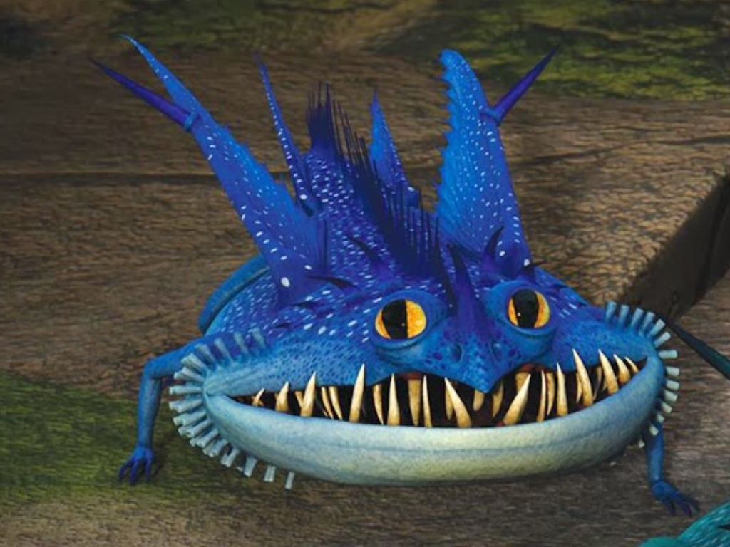 cartonnetwork how to train your dragon wild skies cartonnetwork how to train your dragon wild skies