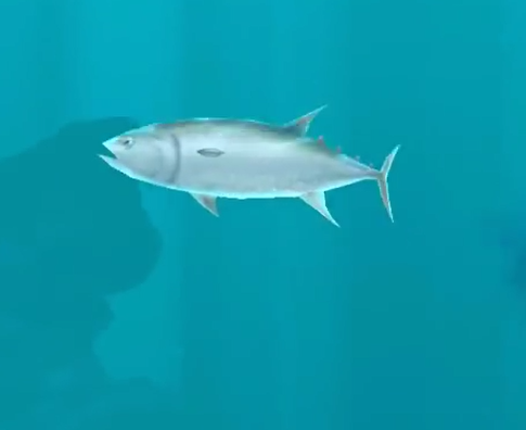 Tuna | Hungry Shark Wiki | Fandom powered by Wikia