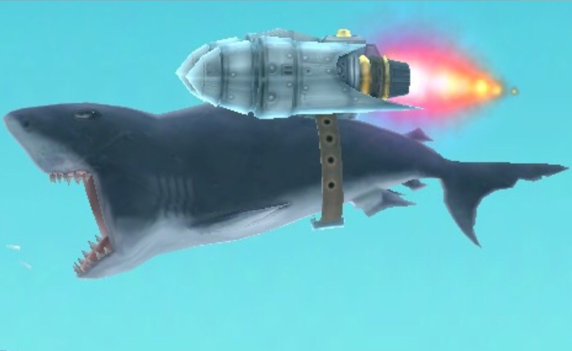 Image Image1442804689.jpg Hungry Shark Wiki Fandom powered by Wikia