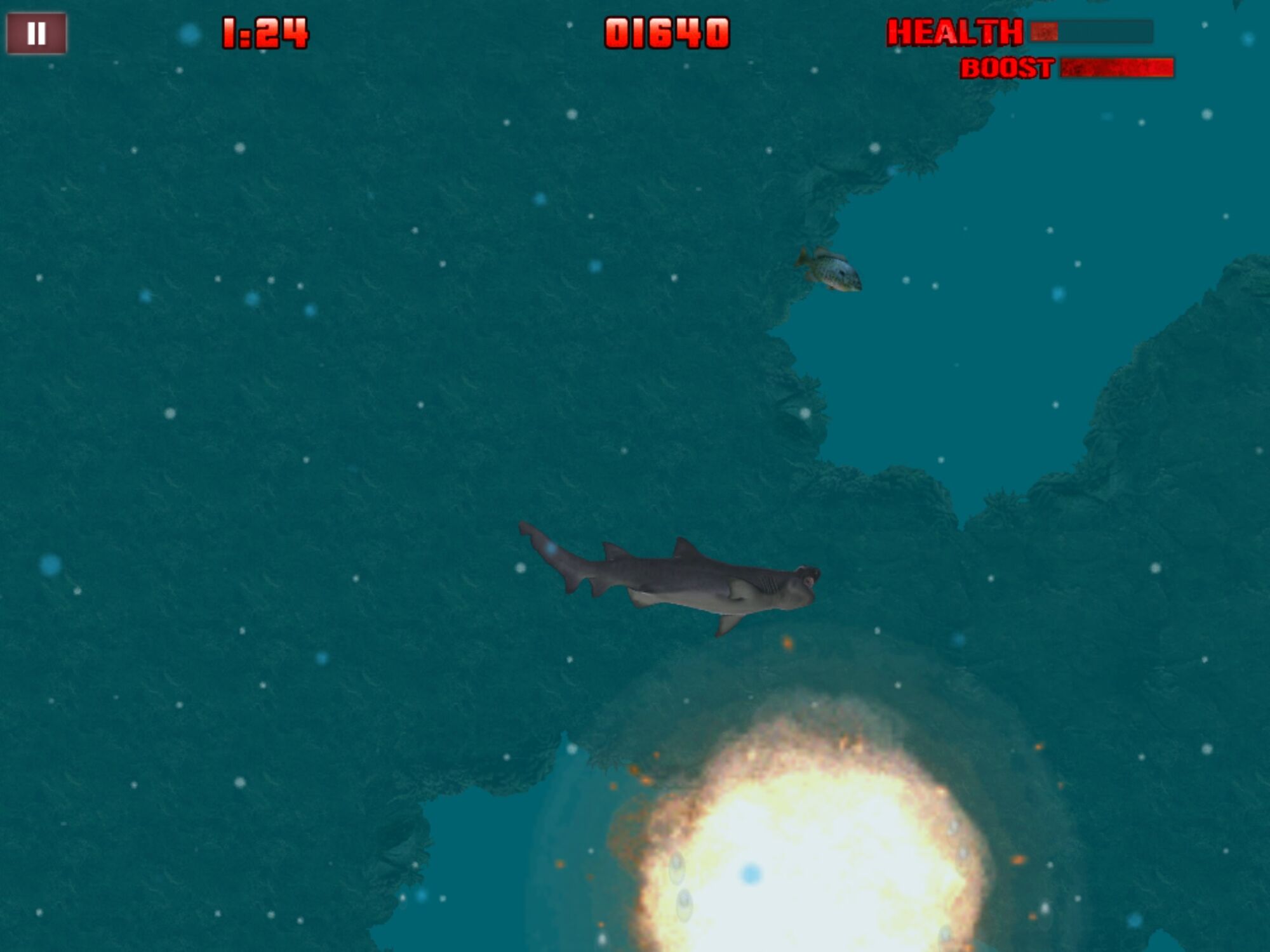 Tiger Shark (Evolution) | Hungry Shark Wiki | Fandom powered by Wikia