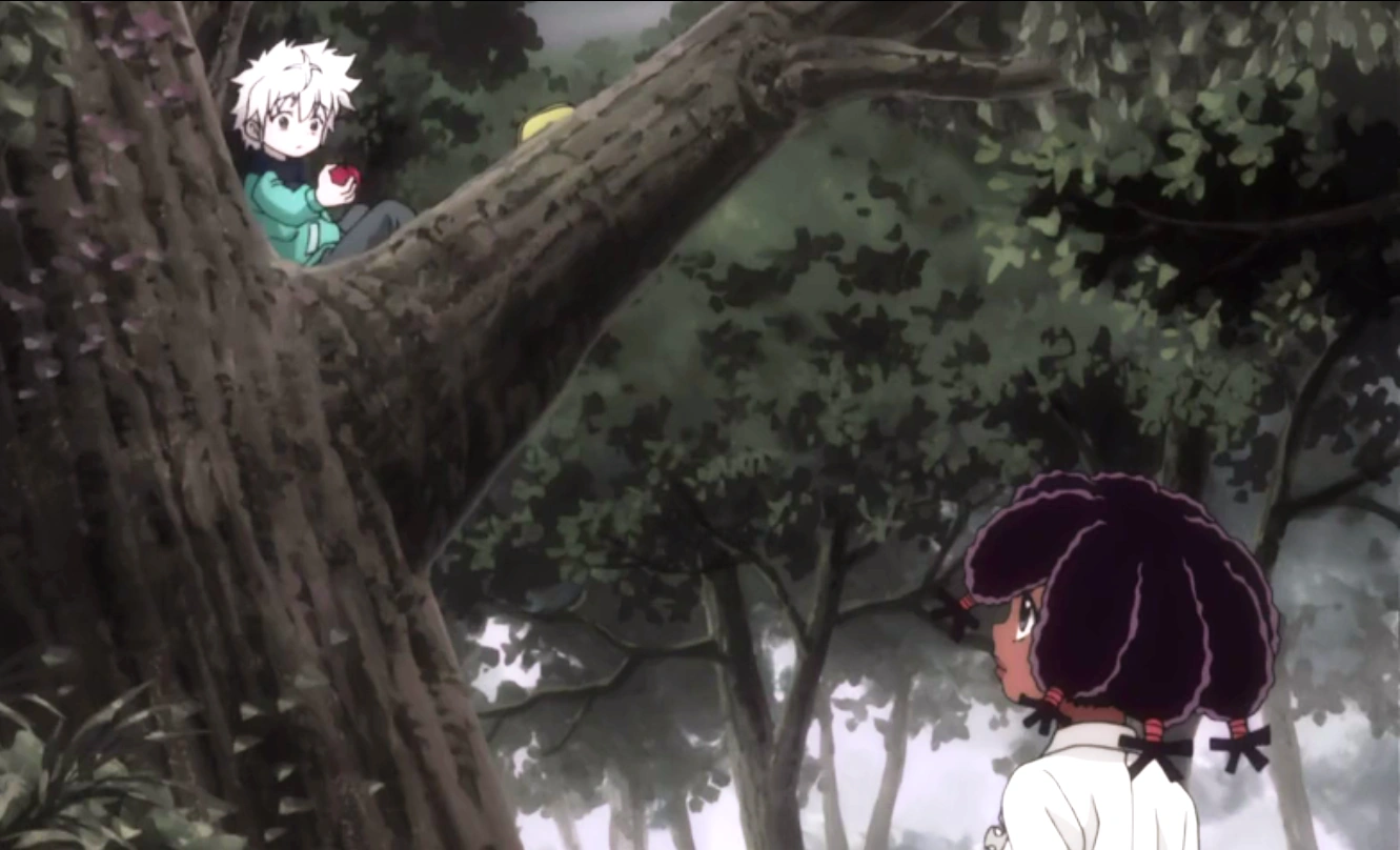 Hunter X Hunter Canary And Killua