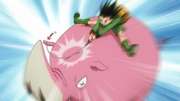 Gon golpea al Gran Pisoton