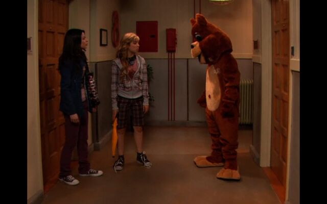 File:Bear.jpg