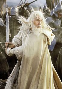 Gandalf the White Blaack Gate 1