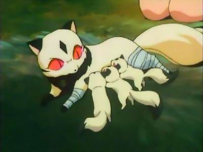 Cat Yokai Anime Cat Yokai Anime