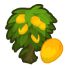 100 Mango