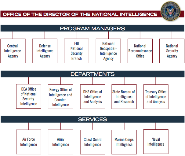 Business Intelligence Org Chart