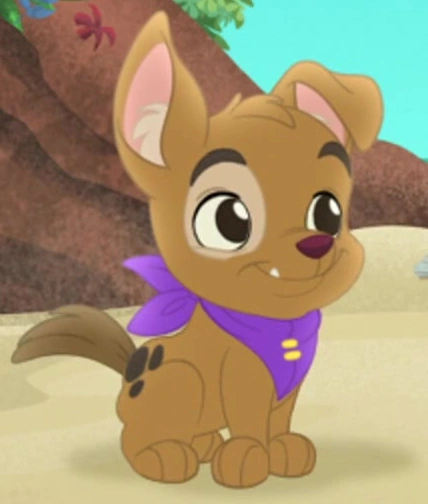 Patch the Pirate Pup | Jake and the Never Land Pirates Wiki | Fandom