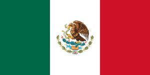 Flag-Big-Mexico
