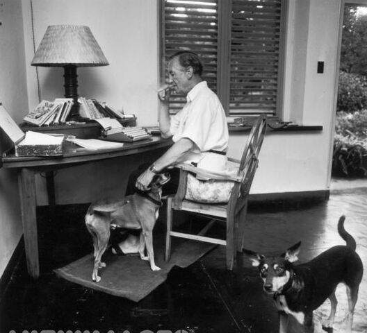 File:Ian dog.jpeg