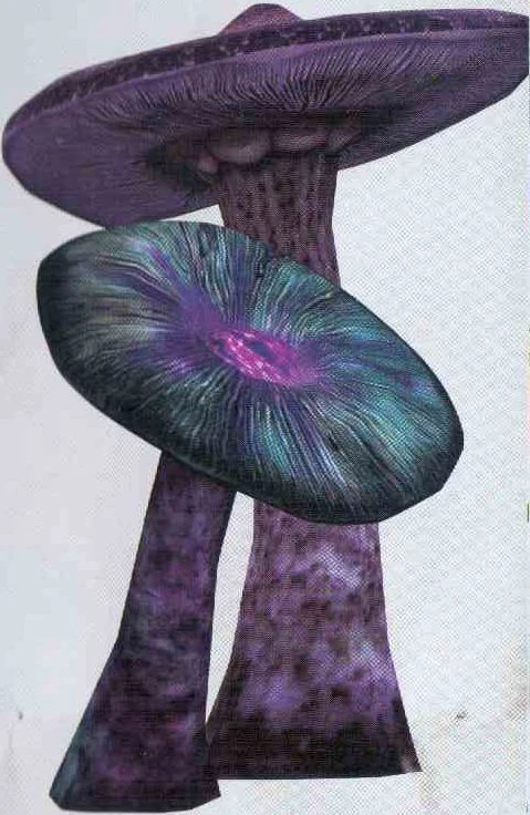 Octoshroom | Avatar Wiki | Fandom powered by Wikia