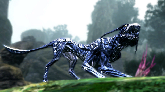 File:Leucomelas costatus.png