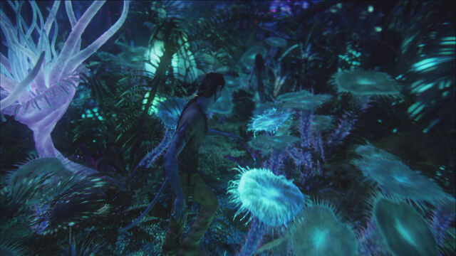 File:Bioluminescent beauty.jpg