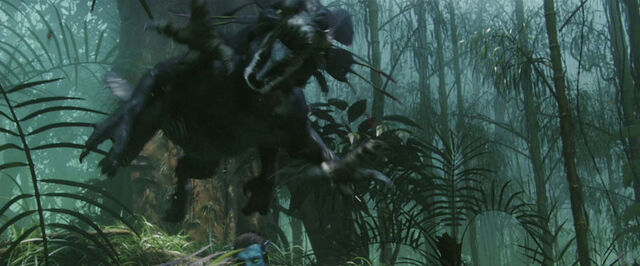 File:Capture045.jpg