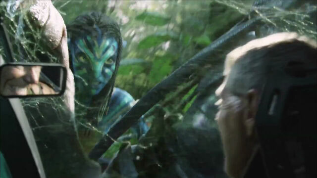 File:Neytiri fights quaritch.jpg