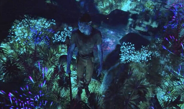 File:Jake and bioluminescence.jpg