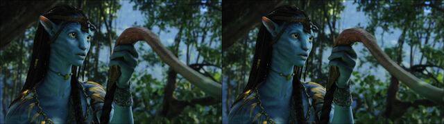 File:Neytiri making Tsahaylu with Seze 2 (cross).jpg