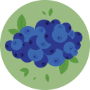 Blueberryclouds