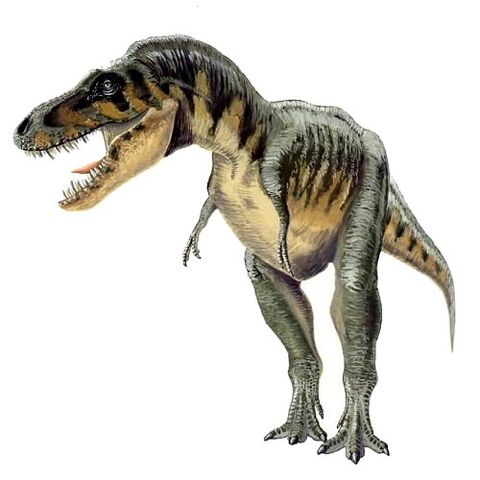 File:Tarbosaurus efremovi aa.jpg