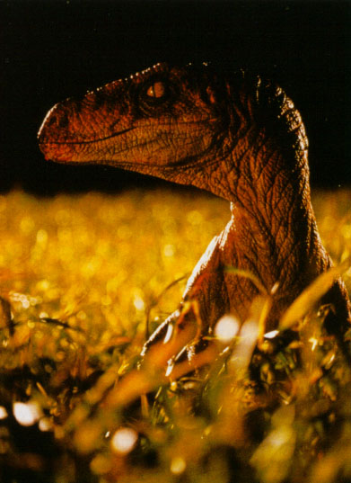 the lost world raptors