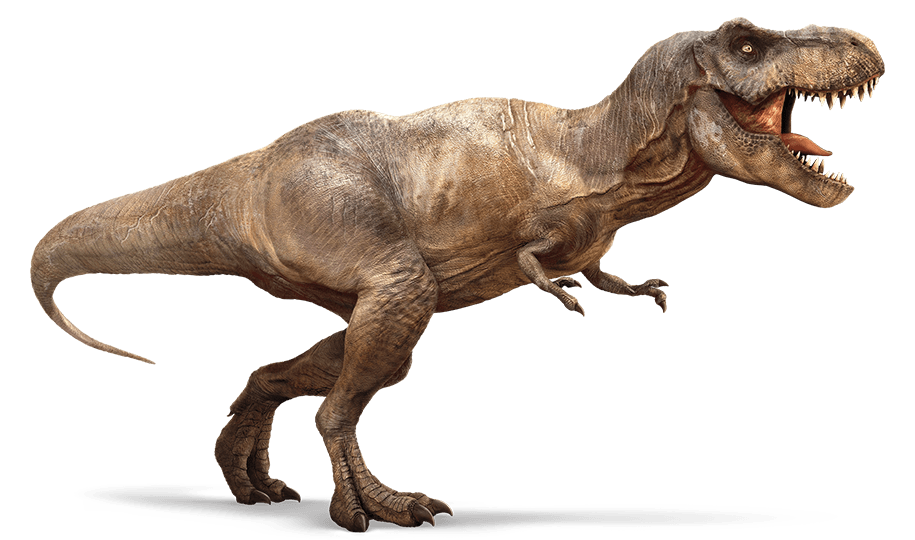image de t-rex