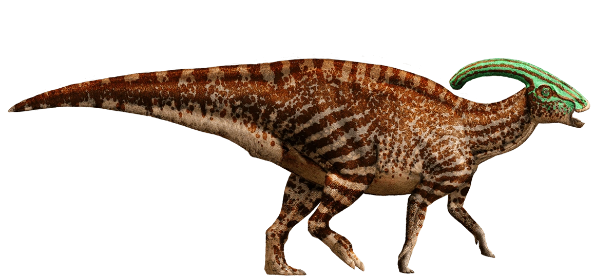 latest?cb=20150822193428&path-prefix=fr