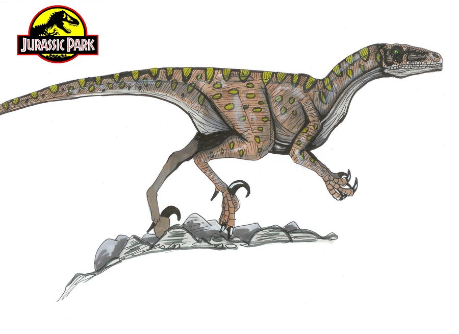 Image - Jurassic Park Deinonychus by hellraptor.jpg | Jurassic Park wiki | Fandom powered by Wikia