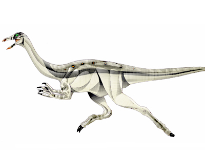 Archaeornithomimus Jurassic Park wiki Fandom powered by Wikia