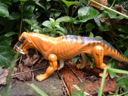 Lycaenops3