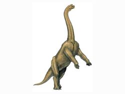 Brachiosaurus | Jurassic Park wiki | Fandom powered by Wikia