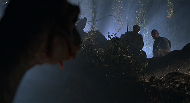 File:Rex nest inside.png