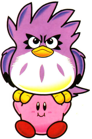 File:Coo.jpg