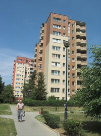 CRW 8063-01 787x1050.jpg