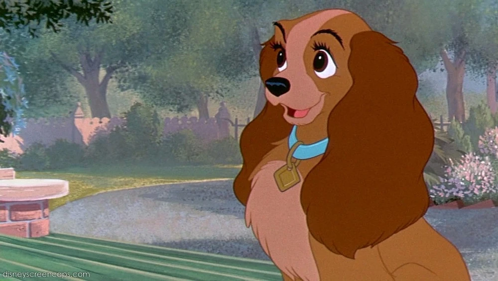 Lady Lady And The Tramp Wiki FANDOM powered by Wikia