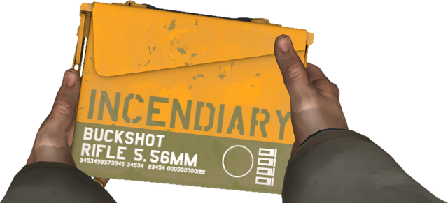 File:Incendiary Ammunition 1P View.png