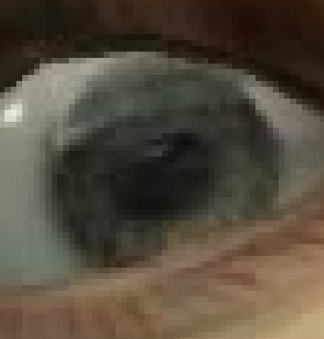 File:EllisEyeColor.png