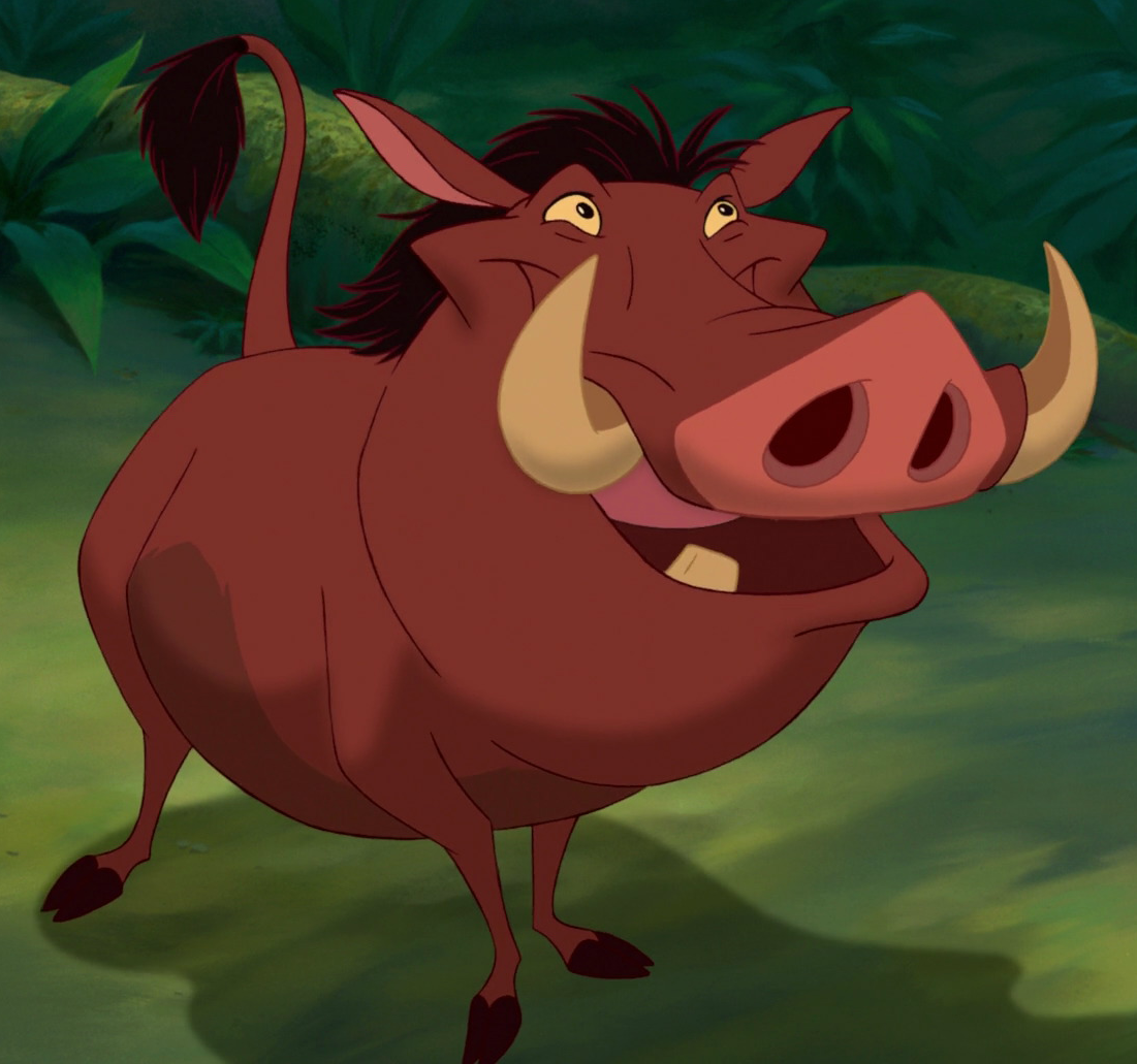 Image result for pumba lion king